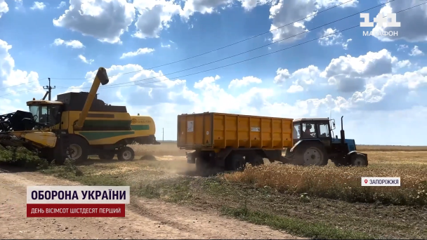 Жнива на Запоріжжі