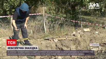 Новости Украины: в Запорожье обнаружили почти сотню боеприпасов времен Второй мировой