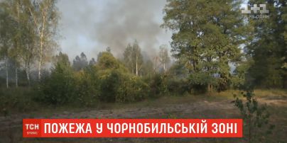 Надзвичайникам вдалося загасити пожежу у Чорнобильській зоні
