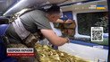 Правда з передової без прикрас! Як вивозять поранених бійців з поля бою?