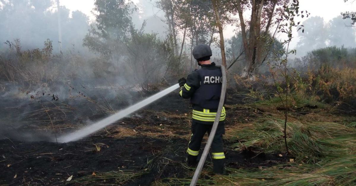 Масштабні пожежі: у Луганській області готуються до можливої евакуації кількох населених пунктів