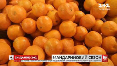 Сезон мандаринов в разгаре: сколько стоят, и как выбрать самые вкусные