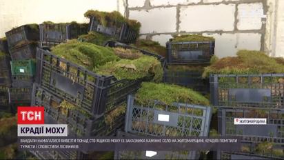 У Житомирській області вандали намагалися вивезти понад 100 ящиків моху з "українського Стоунхенджу"