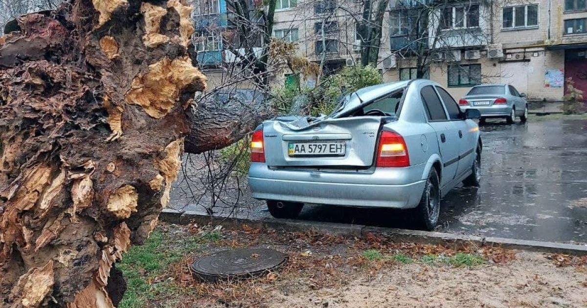 У Києві через негоду падають дерева: пошкоджено автівки