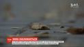 До -13 градусов: в Украину движется похолодание