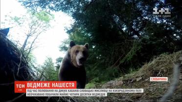 Словацкие охотники наткнулись сразу на почти четыре десятка медведей