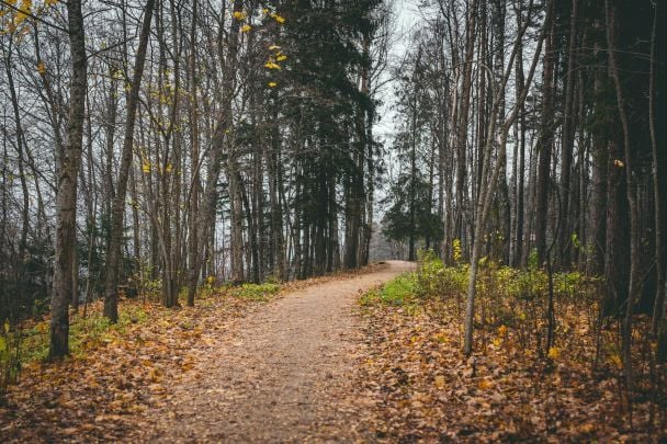 Народні прикмети 24 листопада / © Unsplash