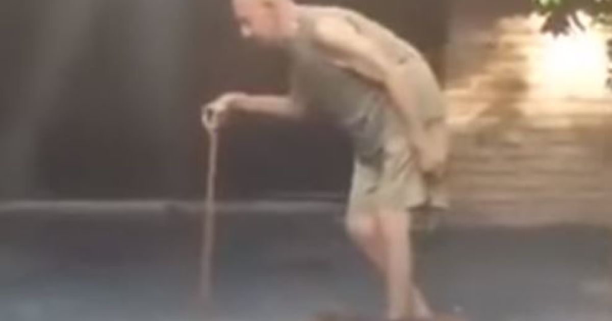 Самый терпеливый пес в мире. Юзеров покорило трогательное видео самоотверженной собаки