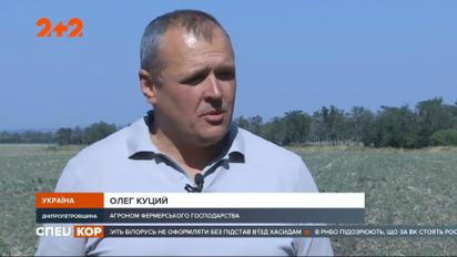 В Днепропетровской области лесные крадуны терроризируют жителей нескольких сел