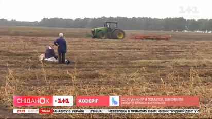 Тарифи на тепло, ринок землі, експорт картоплі – Економічні новини