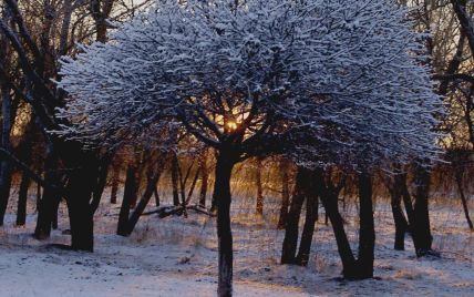 Ночью часть Украины заляпает мокрым снегом. Прогноз погоды на 27 октября