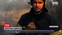 Новости Украины: пожарные спасли совенка с зажженного сухостоя
