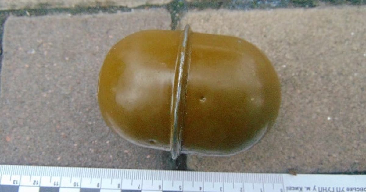 "Знайшов і вирішив залишити собі": чоловік гуляв Києвом з гранатою в кишені