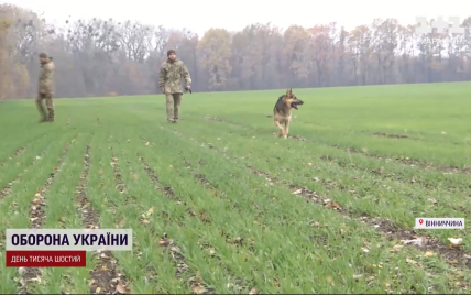 Врятував не одне життя: військові розповіли про унікального пса, який попереджає про "прильоти"