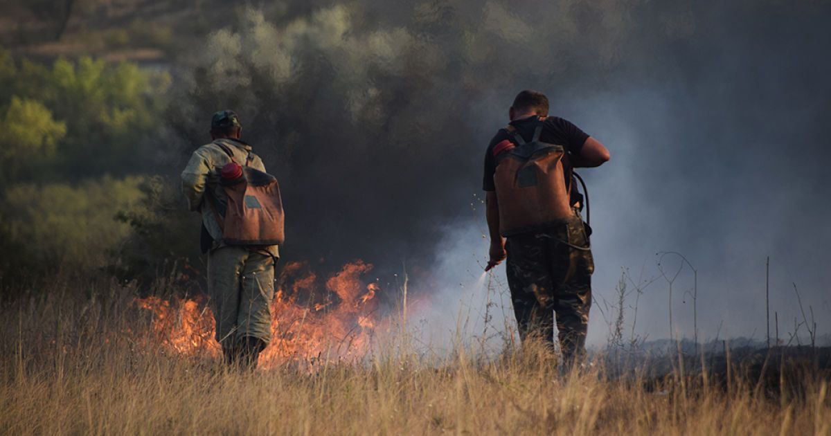 Пожежа в заповіднику Миколаєва_5 / © Державна служба України з надзвичайних ситуацій у Миколаївській області