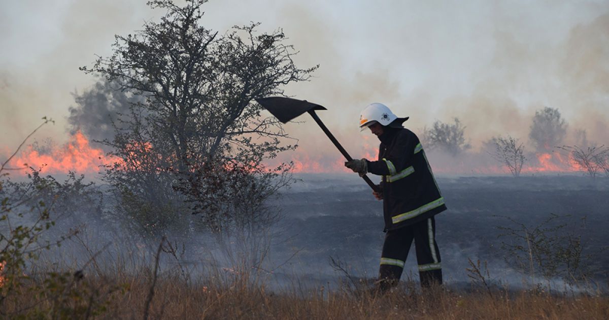 Пожежа в заповіднику Миколаєва_4 / © Державна служба України з надзвичайних ситуацій у Миколаївській області