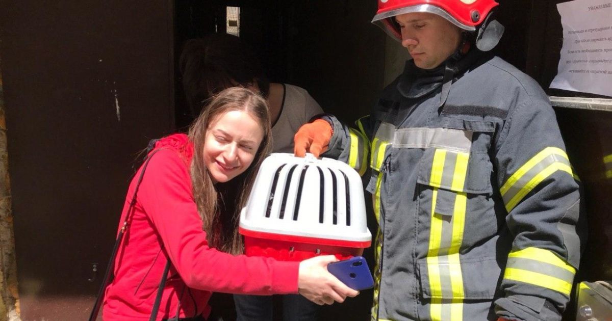 В Одесі рятувальники знайшли живого і неушкодженого кота під завалами будинку