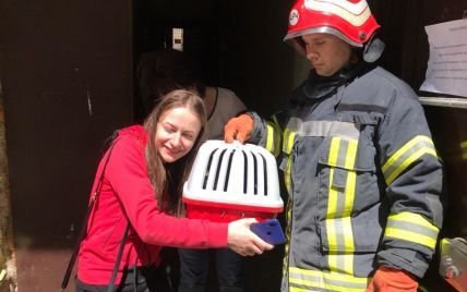 В Одесі рятувальники знайшли живого і неушкодженого кота під завалами будинку