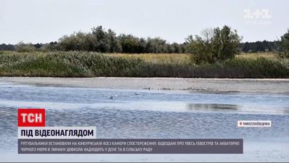 Новости Украины: на Кинбурнской косе установили камеры видеонаблюдения