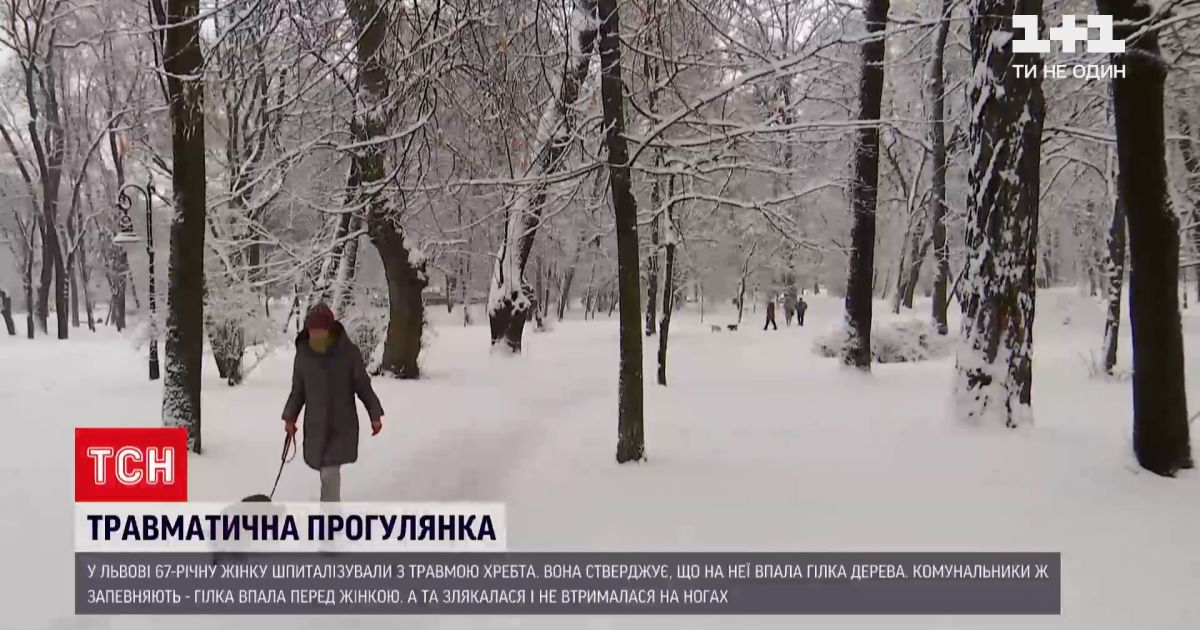 Тсн парк. Итоги конкурса кормушек