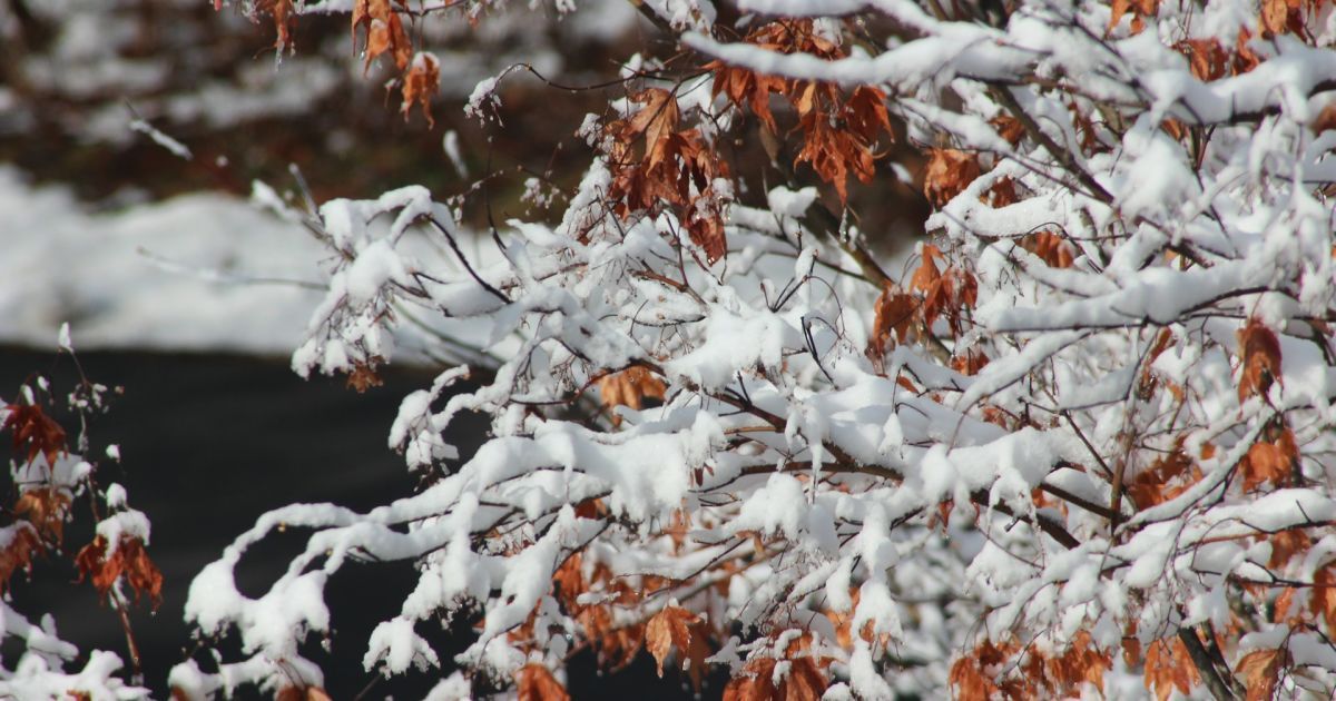 Тест-малюнок розкриє ваш поточний життєвий пріоритет