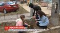 В Киеве даром раздавали саженцы сосен всем желающим