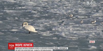 Крижана казка по-одеськи: затоку знову скувало льодом