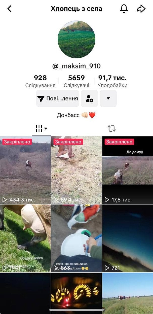 Скриншот страницы в TikTok\maksim910