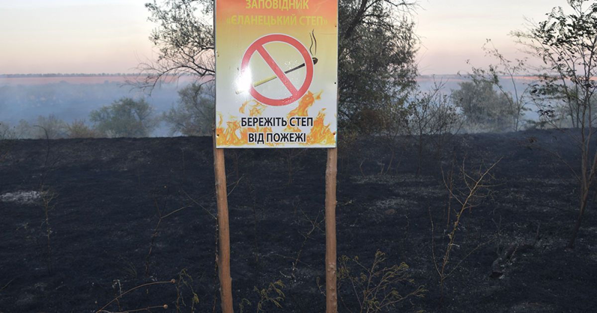 Пожежа в заповіднику Миколаєва_6 / © Державна служба України з надзвичайних ситуацій у Миколаївській області