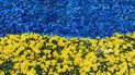 Що подивитися: 15 фільмів, створених у незалежній Україні