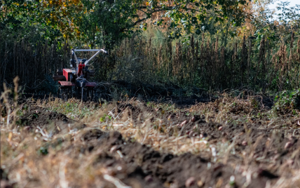 Підготовка городу до зими: 9 способів догляду за ґрунтом восени