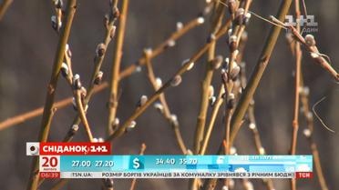 Як уберегти рослини від різких змін погоди