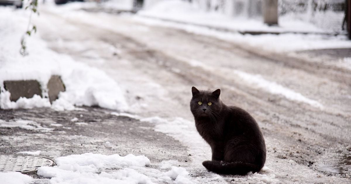 Встреча циклона и антициклона: когда гололедица отпустит Украину