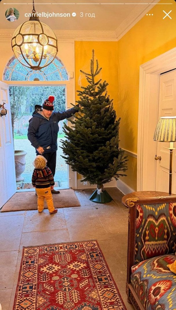 Борис Джонсон с сыном / © Instagram Кэрри Джонсон