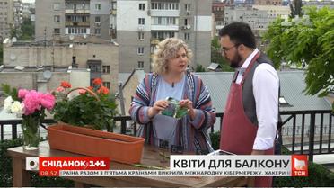 Як прикрасити свій балкон квітами задешево