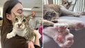 Несмотря на свою особенность, кот абсолютно здоров и не имеет проблем с поведением