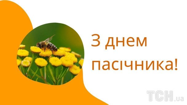 Открытки с Днем пчеловода / © ТСН