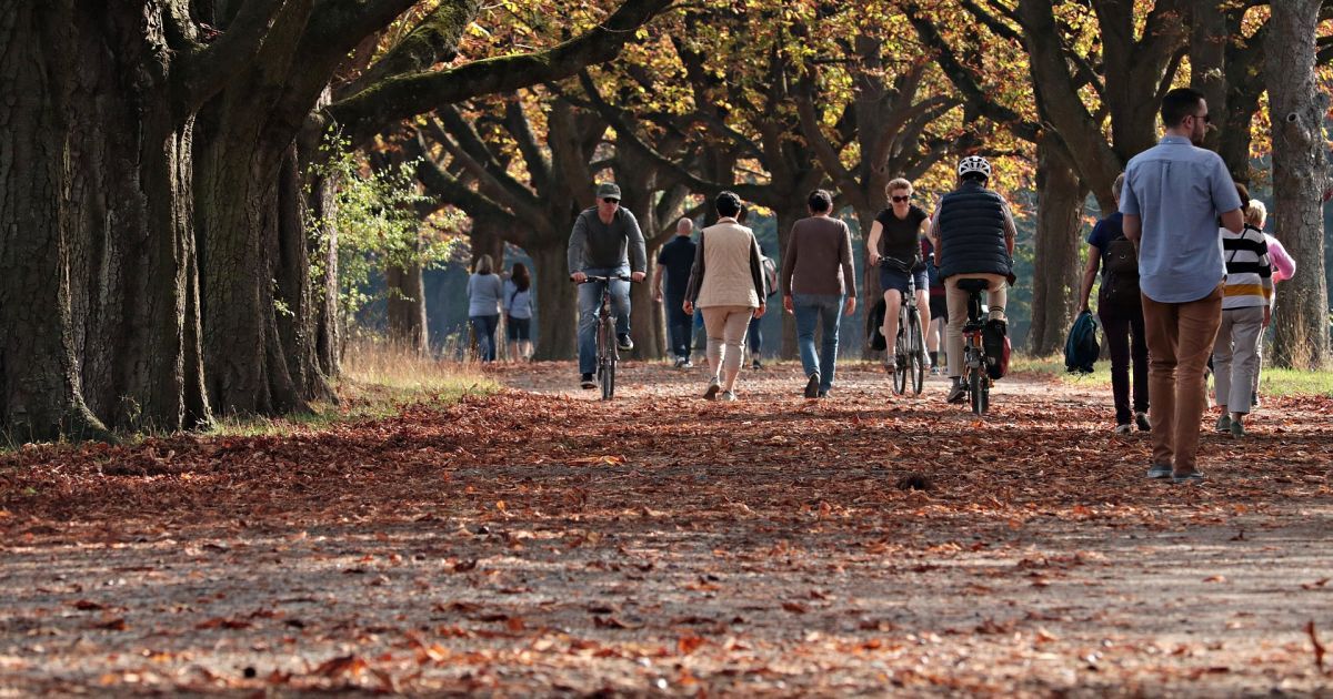Народные приметы, обряды и обычаи 29 сентября