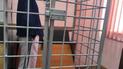В Винницкой области мужчина ограбил и изнасиловал 73-летнюю женщину