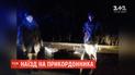 На Закарпатті розшукують зловмисника, який збив прикордонника