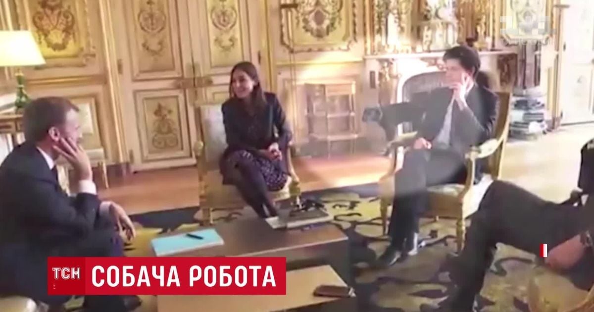 Лабрадор Макрона прервал официальную встречу, "напрудив" в камин