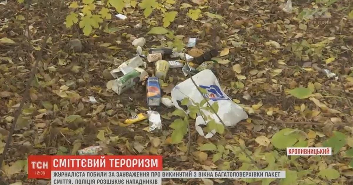 В Кропивницком избили журналиста, который попросил убрать выброшенный из окна мусор