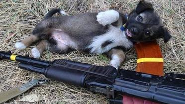 Наименьшие боевые побратимы / © facebook.com/theministryofdefence.ua