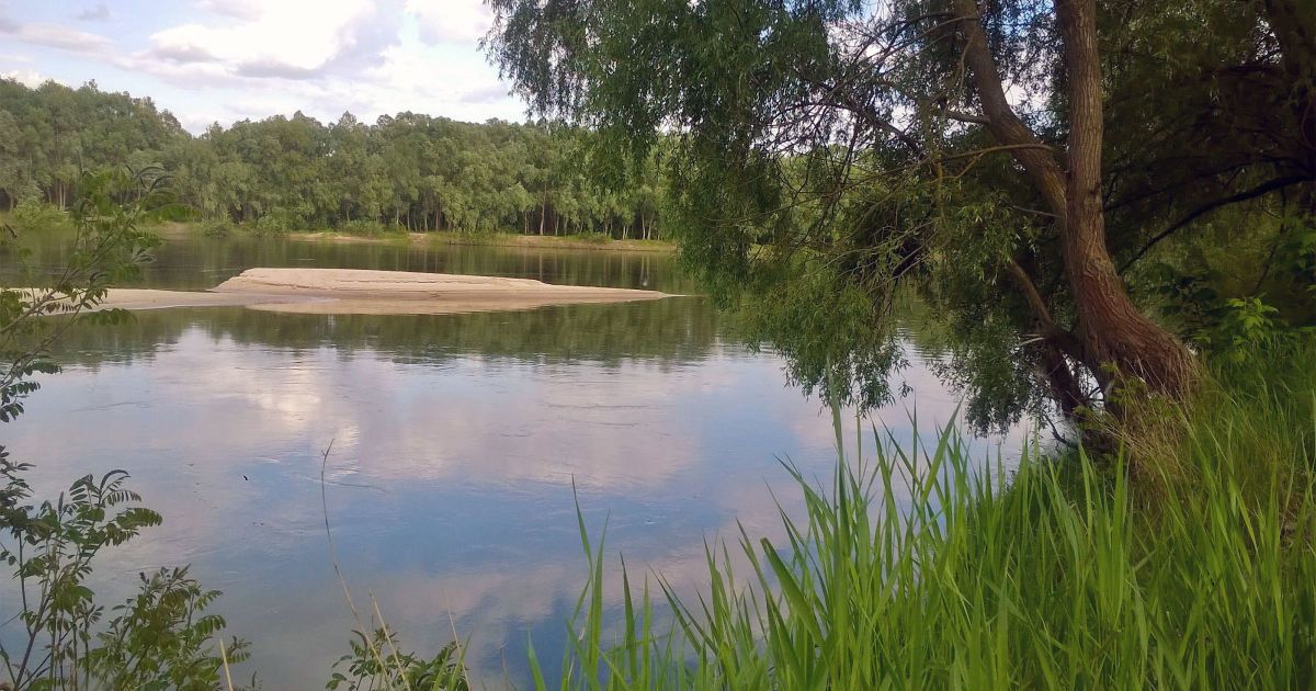 Уровень воды в Десне рекордно упал впервые за 140 лет