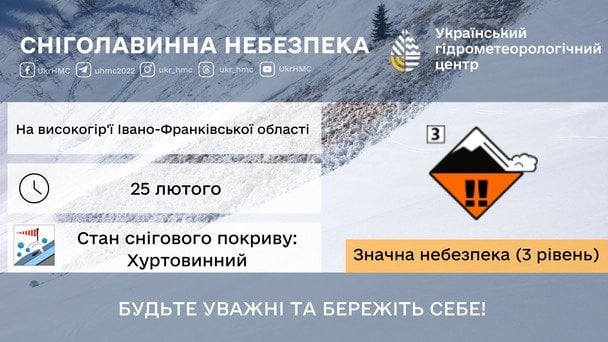 На заході України попереджають про хуртовини та лавини / © Укргідрометцентр