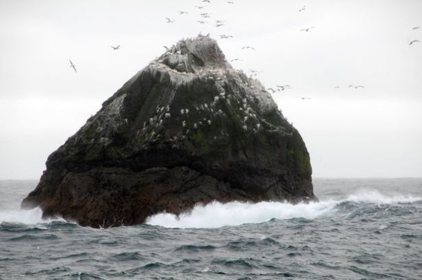 Острів Роколл / Фото: Press Association