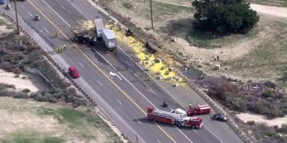 В Калифорнии в результате ДТП на дороге оказалось около 20 тонн лимонов