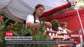 Новини України: варення з шишок та пекельна аджика – чим пригощали на фестивалі консервації в Запоріжжі