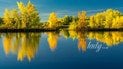 Осінній пейзаж