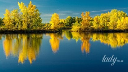 Осінній пейзаж